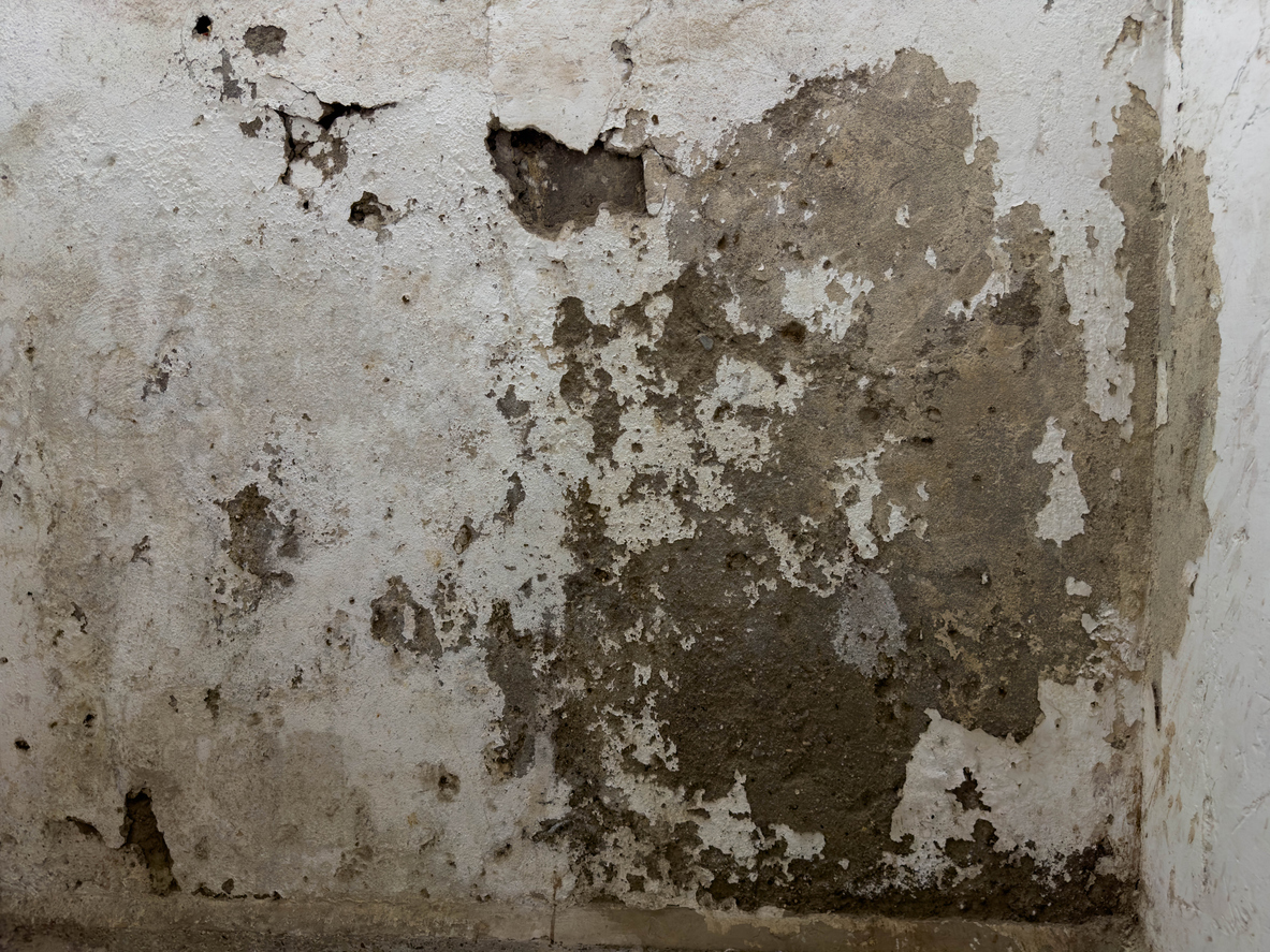 Wall paint peeled off
